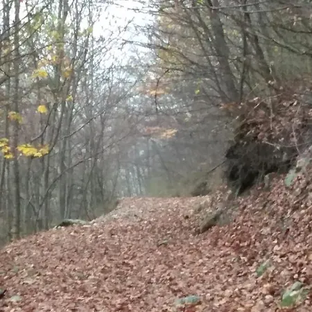 Martinet Vernante