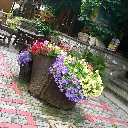 Hotel Martinet
