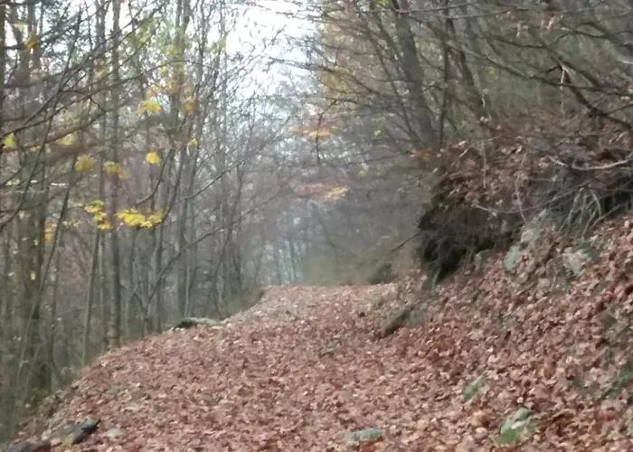 Martinet Vernante