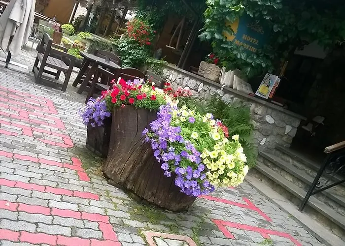 Hotel Martinet